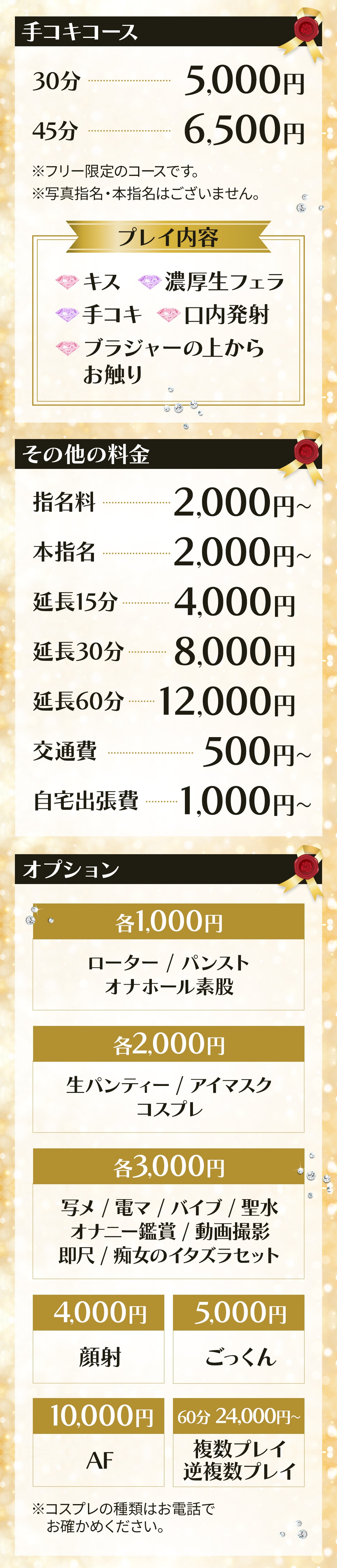 デリーズキュア＿料金システム2