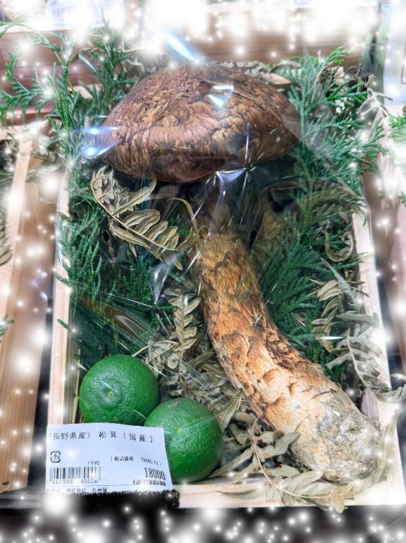 凄い秋見つけた