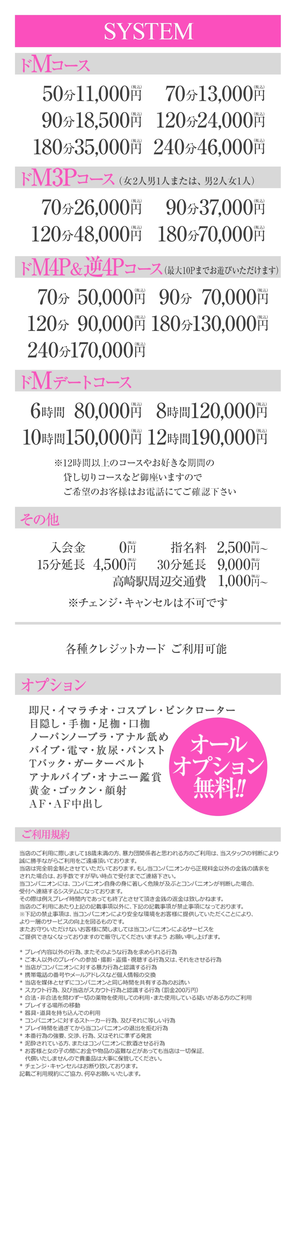 どMばすたーず 群馬 高崎店＿料金システム1