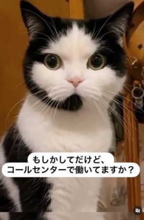 【本日出勤】にゃんにゃん<img class="emojione" alt="🐱" title=":cat:" src="https://fuzoku.jp/assets/img/emojione/1f431.png"/>