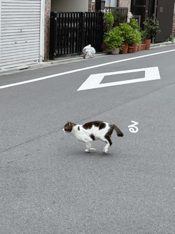 え！この幸せを無料で！？