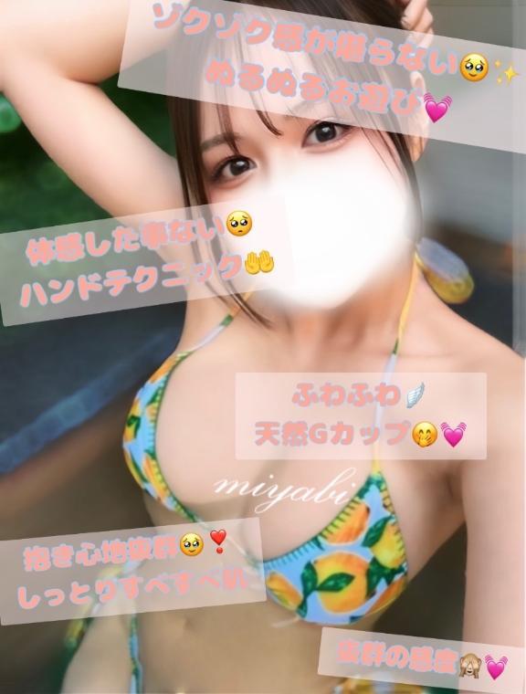 みやびちゃん解体書