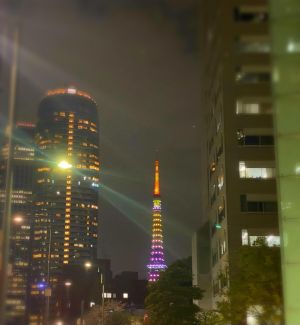 東京タ<img class="emojione" alt="🗼" title=":tokyo_tower:" src="https://fuzoku.jp/assets/img/emojione/1f5fc.png"/>ワー
