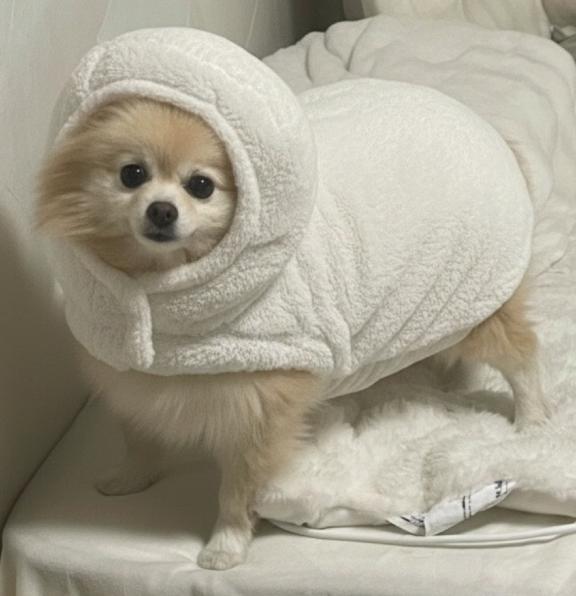 素敵な日曜日を🥰