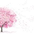桜がすごく綺麗な日♪ .*