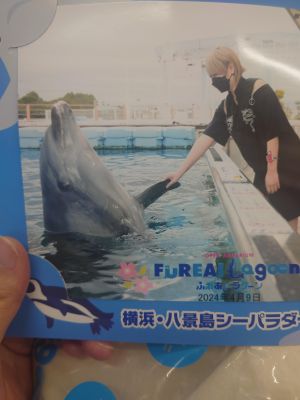 シーパラ<img class="emojione" alt="🐬" title=":dolphin:" src="https://fuzoku.jp/assets/img/emojione/1f42c.png"/>