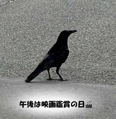 感謝の尻ーズ<img class="emojione" alt="🍑" title=":peach:" src="https://fuzoku.jp/assets/img/emojione/1f351.png"/>エロスの余韻は続きます<img class="emojione" alt="❤️" title=":heart:" src="https://fuzoku.jp/assets/img/emojione/2764.png"/>