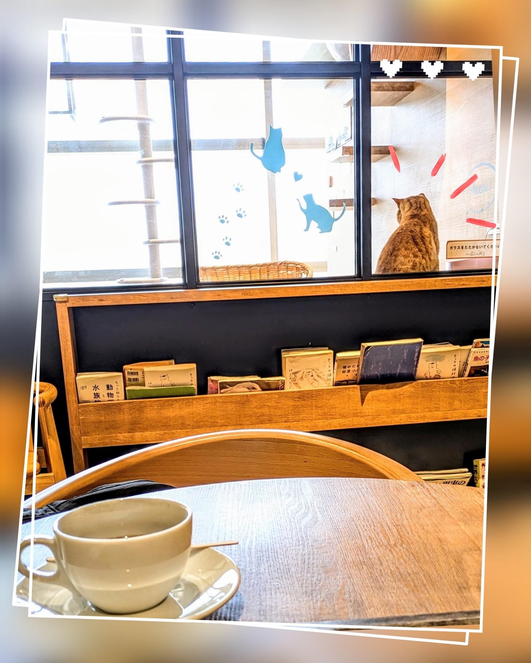 至福のひととき<img class="emojione" alt="🐾" title=":feet:" src="https://fuzoku.jp/assets/img/emojione/1f43e.png"/>