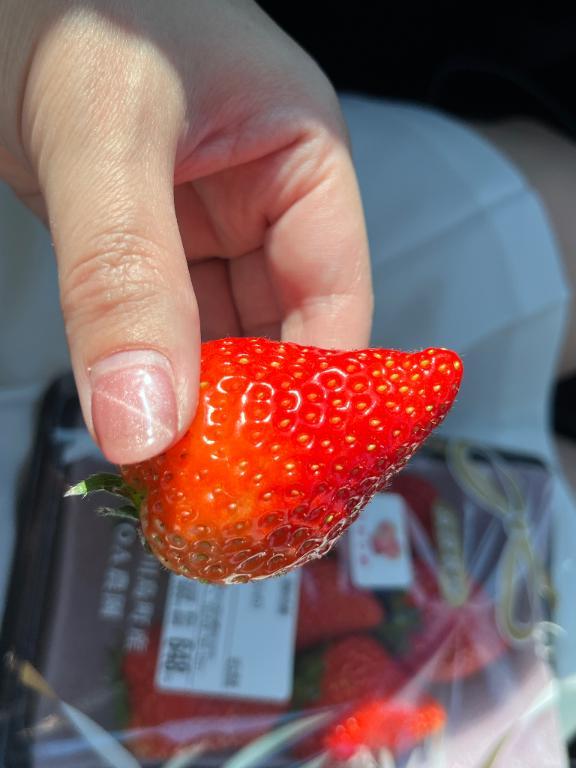 ありがとうございました