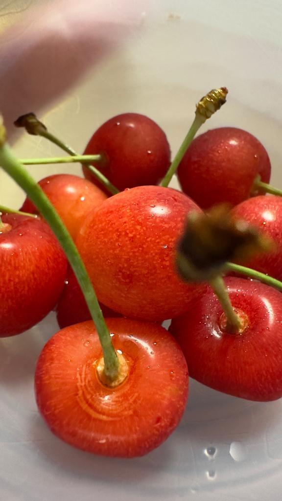 <img class="emojione" alt="🍒" title=":cherries:" src="https://fuzoku.jp/assets/img/emojione/1f352.png"/>