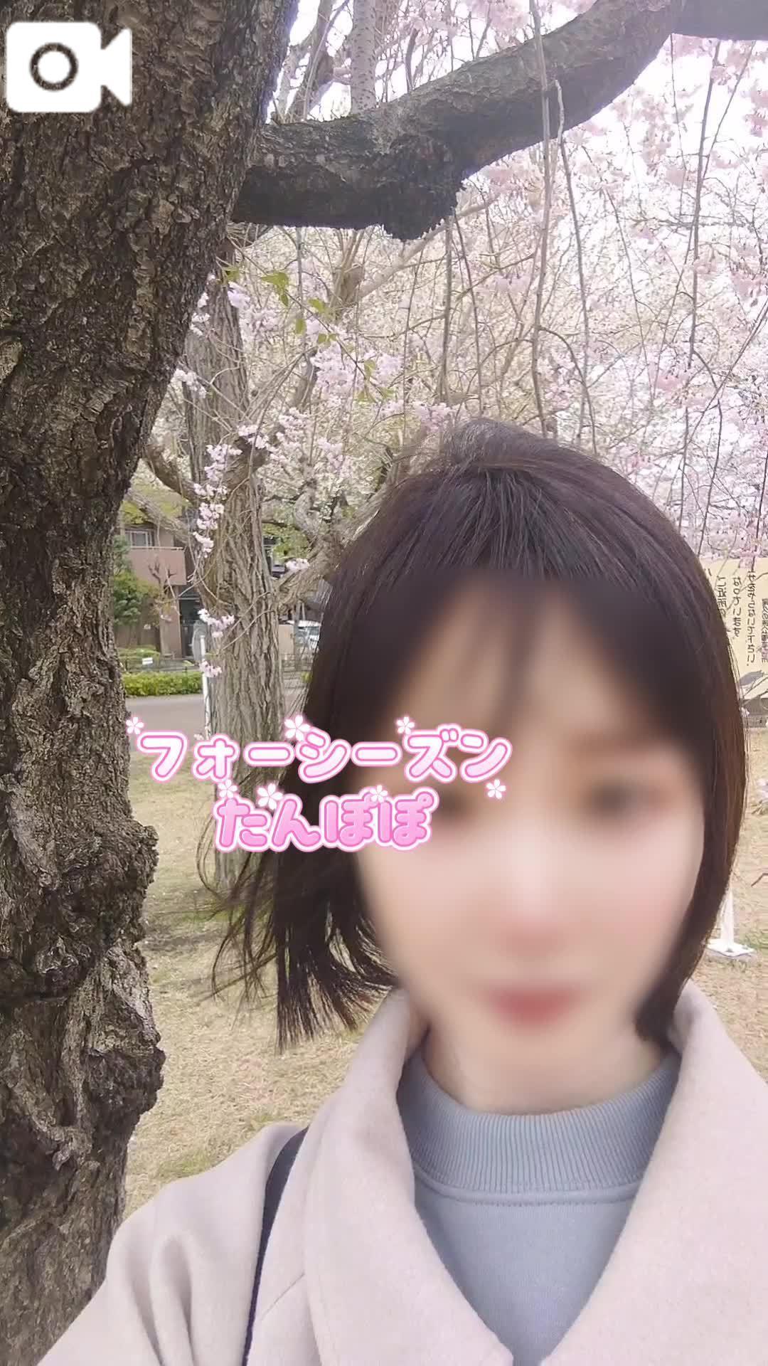 桜を見てきました𓂃<img class="emojione" alt="🌸" title=":cherry_blossom:" src="https://fuzoku.jp/assets/img/emojione/1f338.png"/>𓈒𓏸