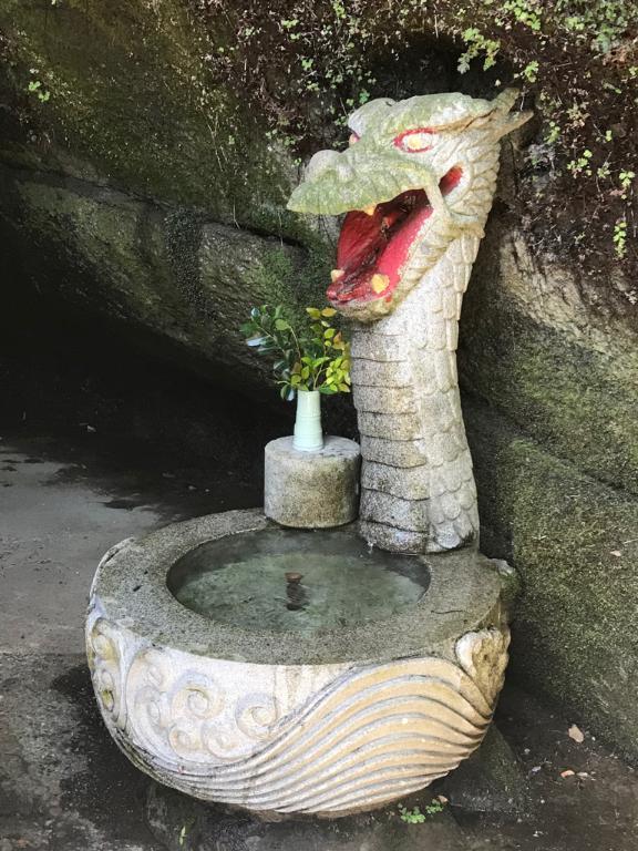 好きなこと