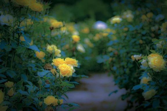 たっぷり<img class="emojione" alt="🌸" title=":cherry_blossom:" src="https://fuzoku.jp/assets/img/emojione/1f338.png"/>