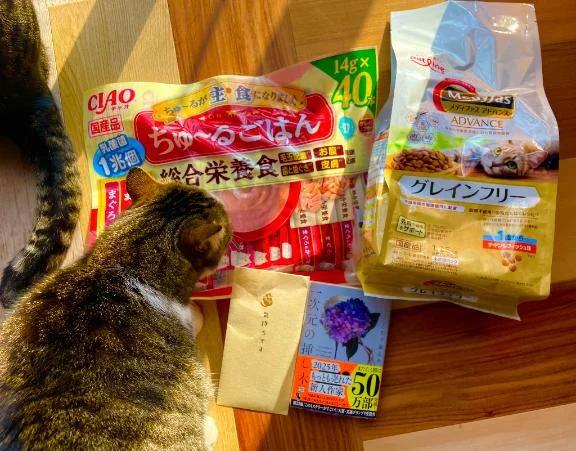 2月22日<img class="emojione" alt="🐱" title=":cat:" src="https://fuzoku.jp/assets/img/emojione/1f431.png"/>