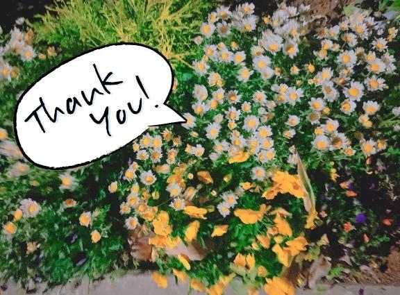 延長戦まで&hellip;<img class="emojione" alt="💓" title=":heartbeat:" src="https://fuzoku.jp/assets/img/emojione/1f493.png"/>ありがとうございました！