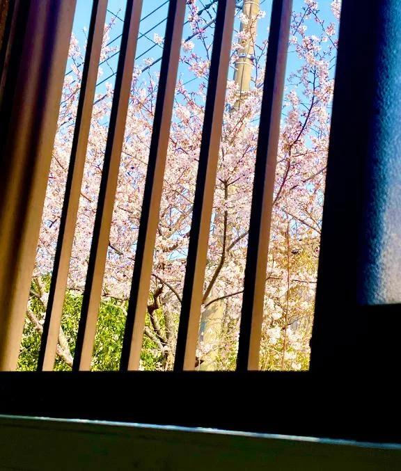 空の休日<img class="emojione" alt="🐱" title=":cat:" src="https://fuzoku.jp/assets/img/emojione/1f431.png"/>