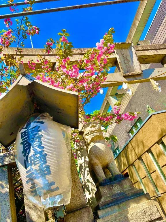 急遽<img class="emojione" alt="🐱" title=":cat:" src="https://fuzoku.jp/assets/img/emojione/1f431.png"/>