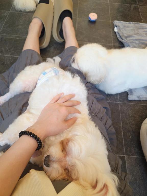 また会いにに行きたくなる場所<img class="emojione" alt="🐶" title=":dog:" src="https://fuzoku.jp/assets/img/emojione/1f436.png"/><img class="emojione" alt="💓" title=":heartbeat:" src="https://fuzoku.jp/assets/img/emojione/1f493.png"/>