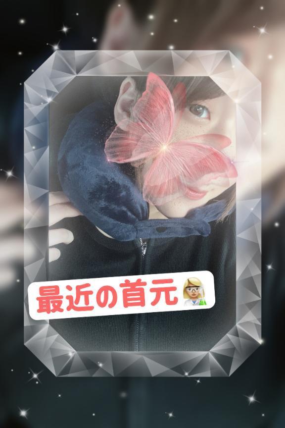 最近の相棒🥰
