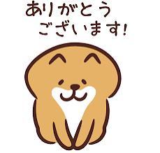 今日も
