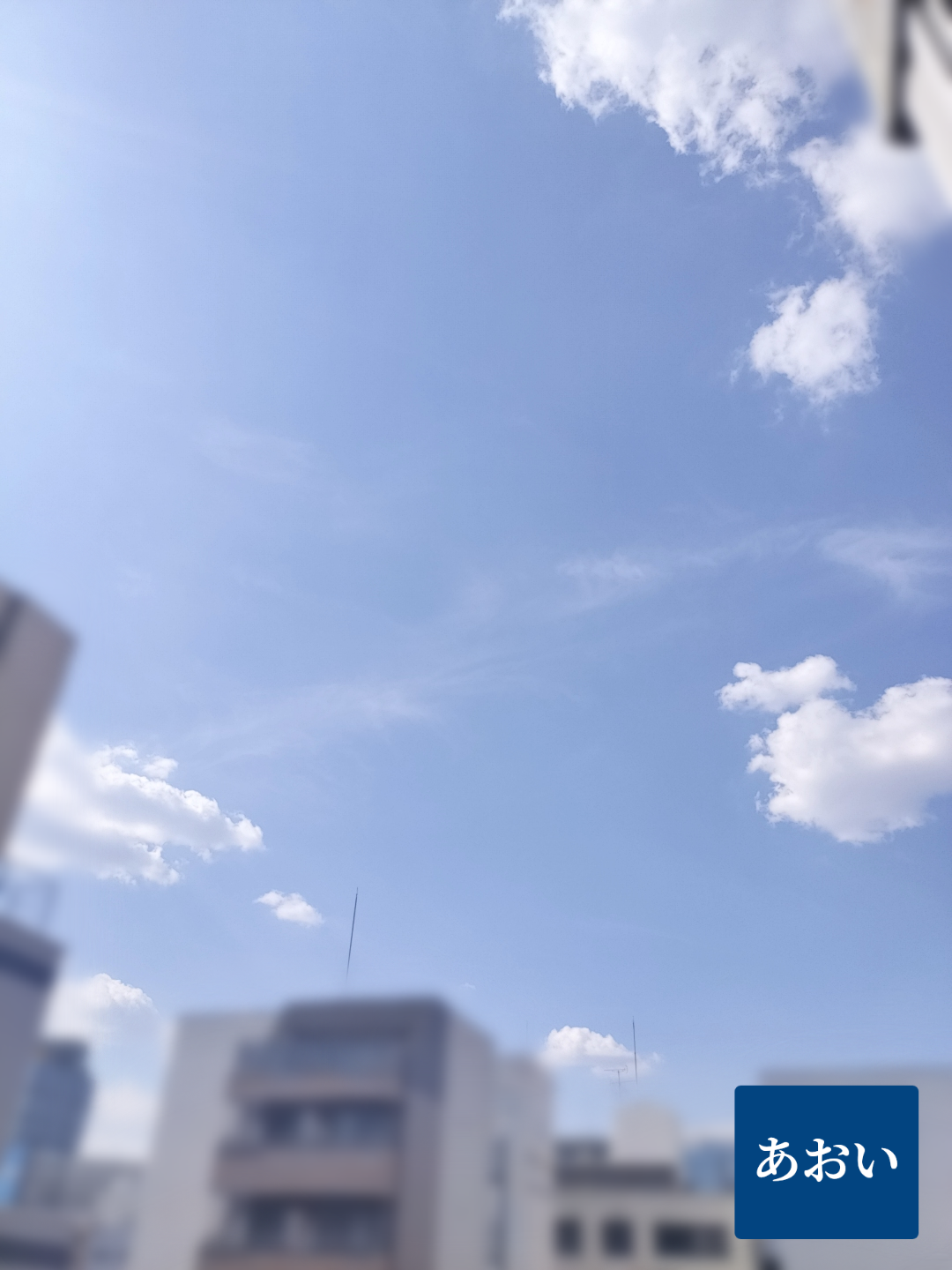 くらくらするぐらいに晴れ