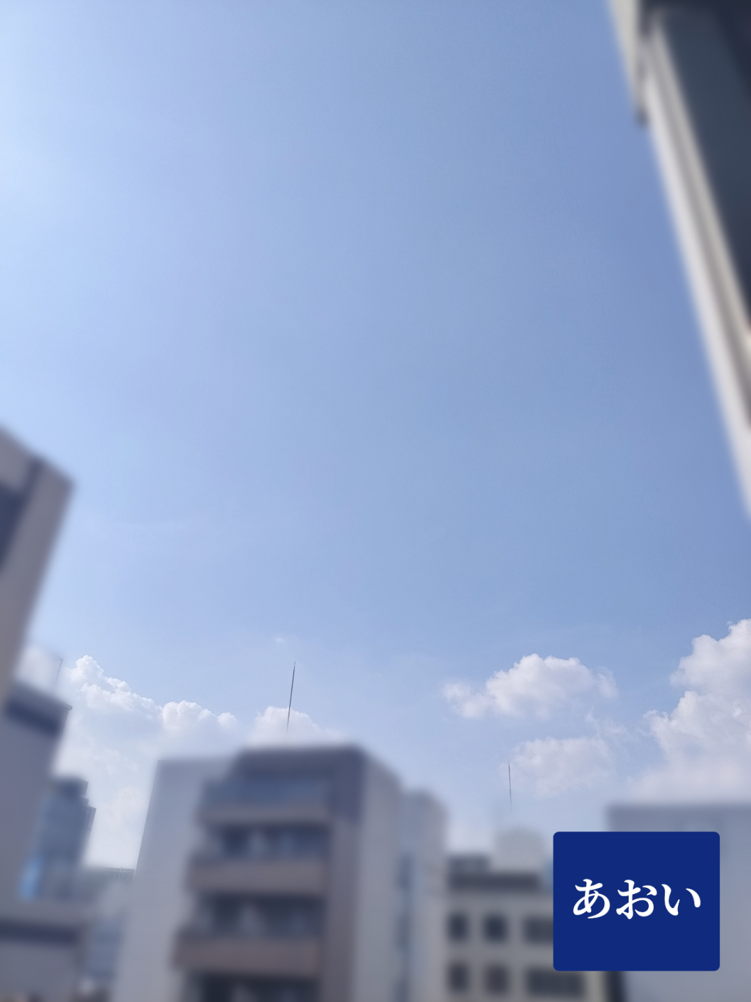 で、ローズは？