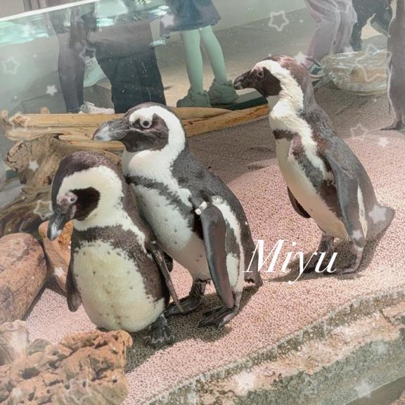 <img class="emojione" alt="🐬" title=":dolphin:" src="https://fuzoku.jp/assets/img/emojione/1f42c.png"/>心が落ち着く空間✨️<img class="emojione" alt="🐬" title=":dolphin:" src="https://fuzoku.jp/assets/img/emojione/1f42c.png"/>