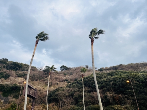 台風7号