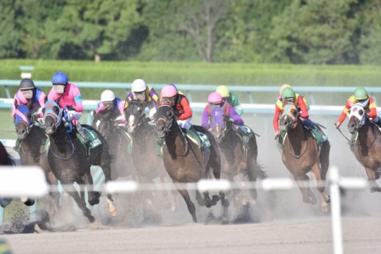 福島競馬