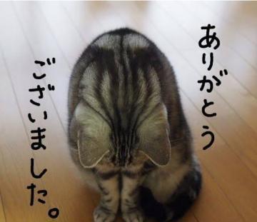 昨日のお礼<img class="emojione" alt="💕" title=":two_hearts:" src="https://fuzoku.jp/assets/img/emojione/1f495.png"/>　Sさま🥰