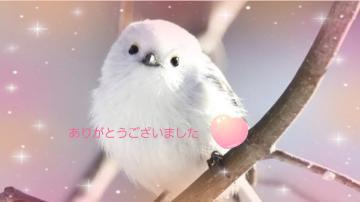 昨日のお礼<img class="emojione" alt="💕" title=":two_hearts:" src="https://fuzoku.jp/assets/img/emojione/1f495.png"/>　Hクン🥰