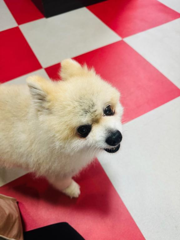 くぅ〜ん<img class="emojione" alt="😭" title=":sob:" src="https://fuzoku.jp/assets/img/emojione/1f62d.png"/><img class="emojione" alt="🐶" title=":dog:" src="https://fuzoku.jp/assets/img/emojione/1f436.png"/>