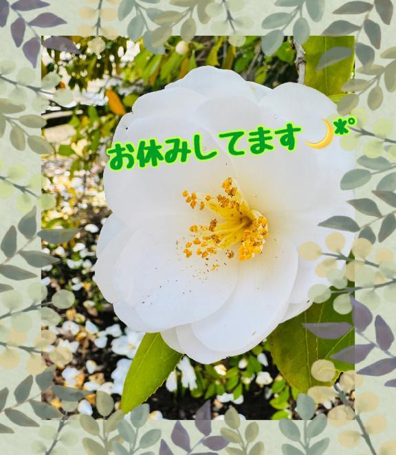 大人しく…