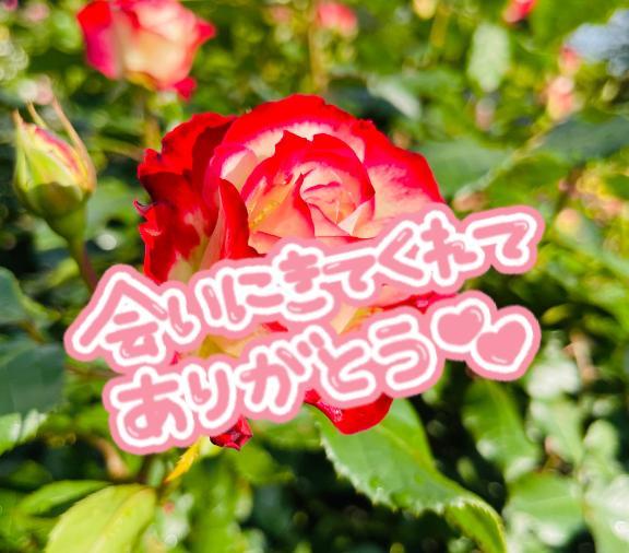 GraceのN様<img class="emojione" alt="❣️" title=":heart_exclamation:" src="https://fuzoku.jp/assets/img/emojione/2763.png"/>