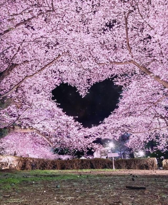 4月なのに