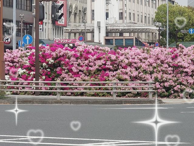 お花