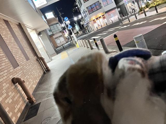 相変わらず元気