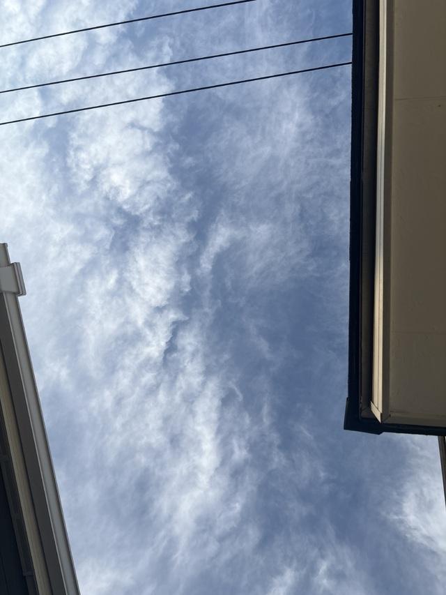 おはようございます