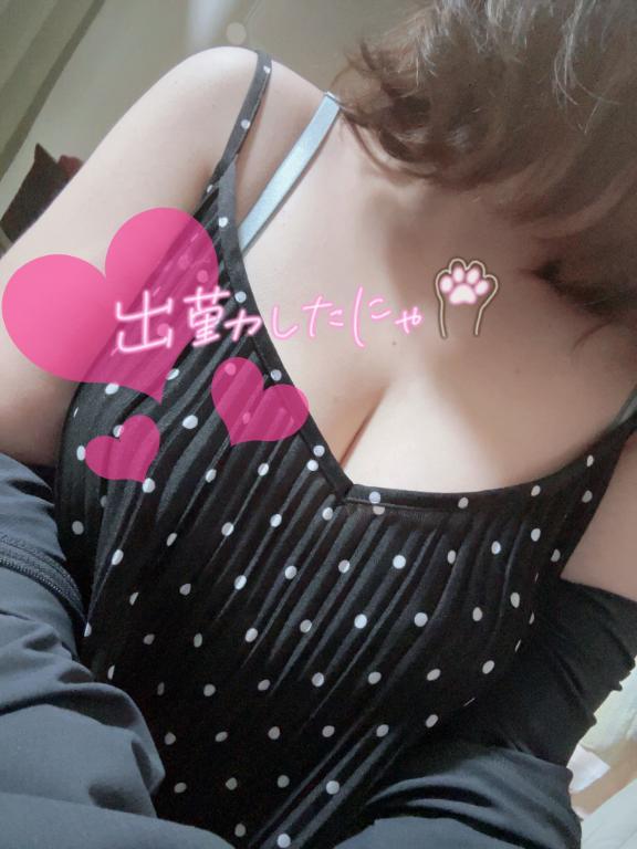 本日出勤です！