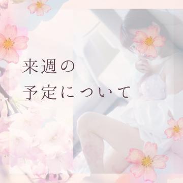 らいしゅう<img class="emojione" alt="🌸" title=":cherry_blossom:" src="https://fuzoku.jp/assets/img/emojione/1f338.png"/>