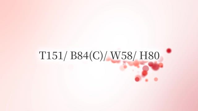 りょう動画