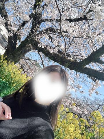 お花見<img class="emojione" alt="🌸" title=":cherry_blossom:" src="https://fuzoku.jp/assets/img/emojione/1f338.png"/>