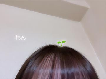 <img class="emojione" alt="💇🏻" title=":person_getting_haircut_tone1:" src="https://fuzoku.jp/assets/img/emojione/1f487-1f3fb.png"/>‍<img class="emojione" alt="♀️" title=":female_sign:" src="https://fuzoku.jp/assets/img/emojione/2640.png"/><img class="emojione" alt="🆕" title=":new:" src="https://fuzoku.jp/assets/img/emojione/1f195.png"/>