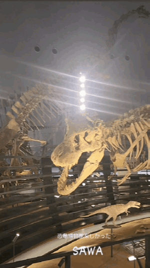 【恐竜博物館】