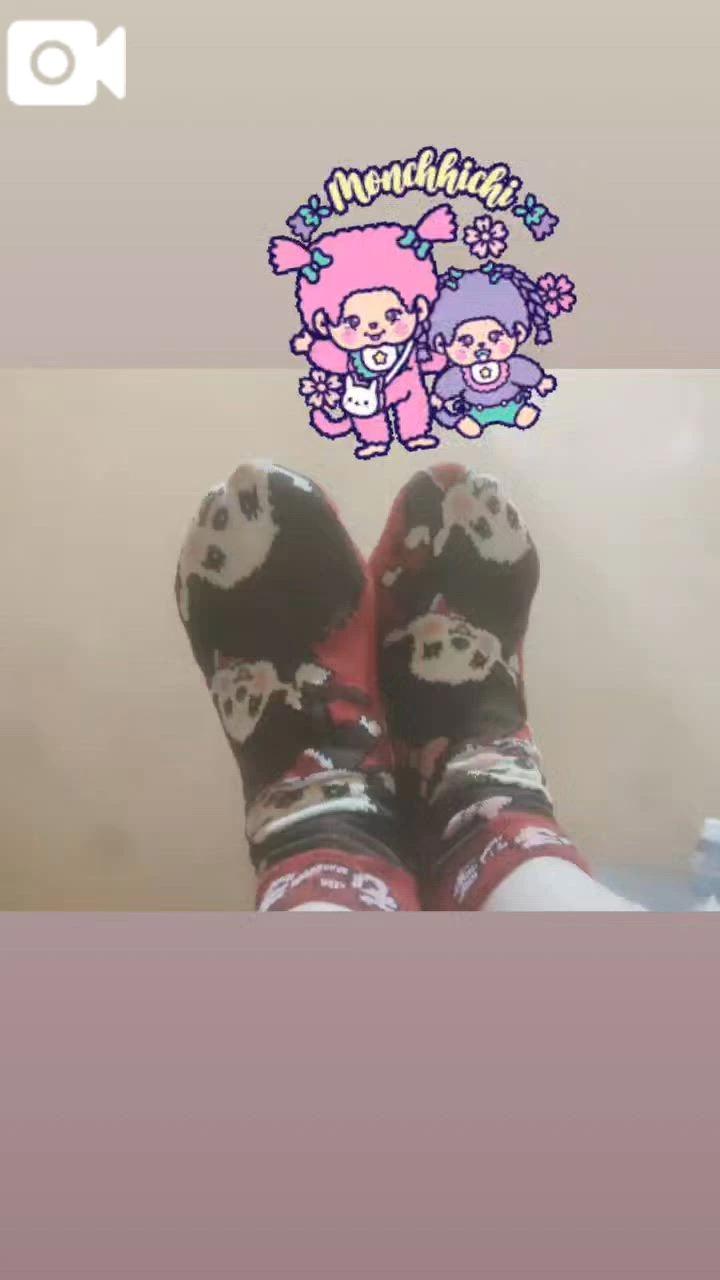 嬉しい差し入れ（こはくが）