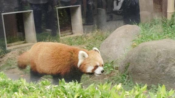 濃い1日になりそう🤍