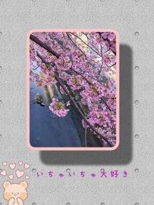 本日もよろしくです<img class="emojione" alt="🌸" title=":cherry_blossom:" src="https://fuzoku.jp/assets/img/emojione/1f338.png"/>