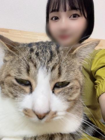 にゃ<img class="emojione" alt="🐱" title=":cat:" src="https://fuzoku.jp/assets/img/emojione/1f431.png"/>