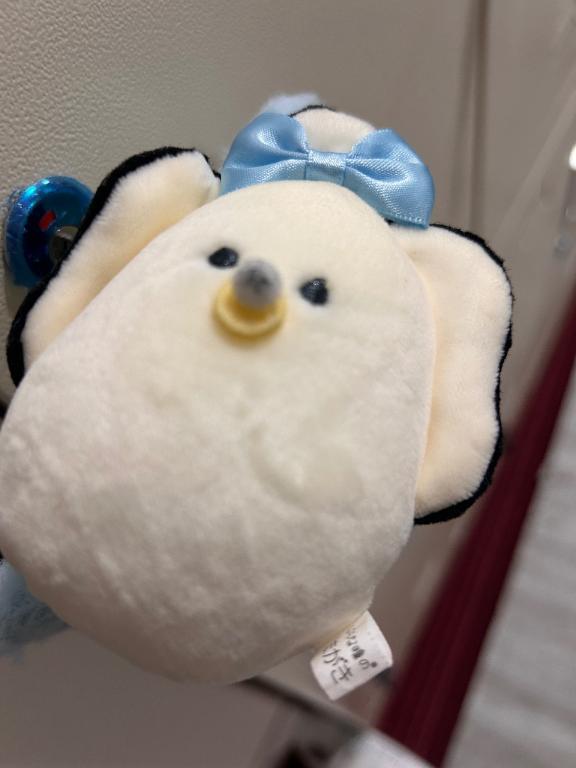 [お題]from:パンダさん