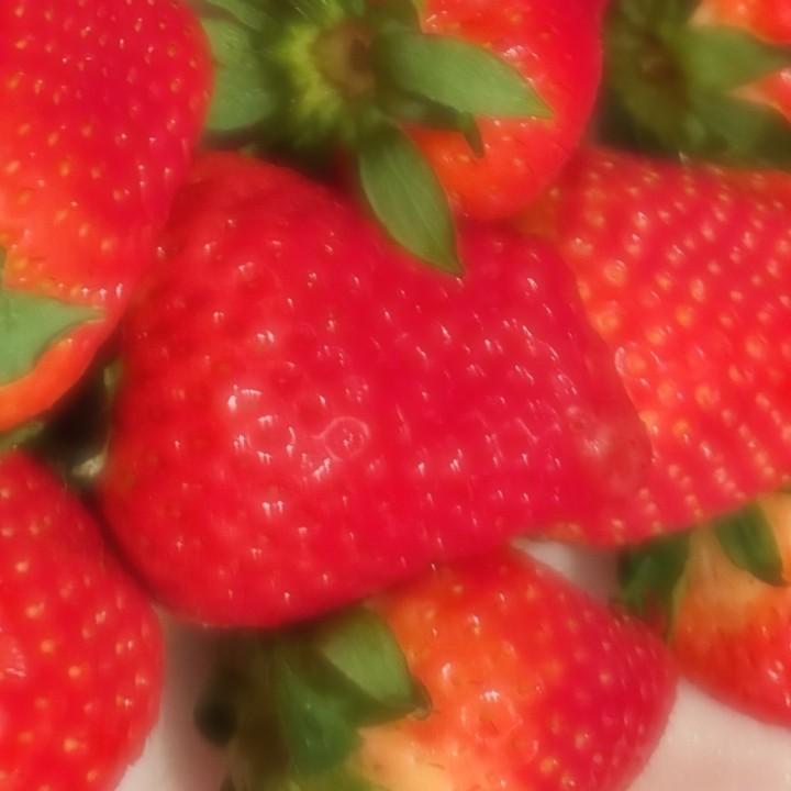<img class="emojione" alt="🍓" title=":strawberry:" src="https://fuzoku.jp/assets/img/emojione/1f353.png"/>